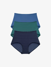 Blue, Green stripe & blue dot Brief 3 Pack Box - Thirdlove Women